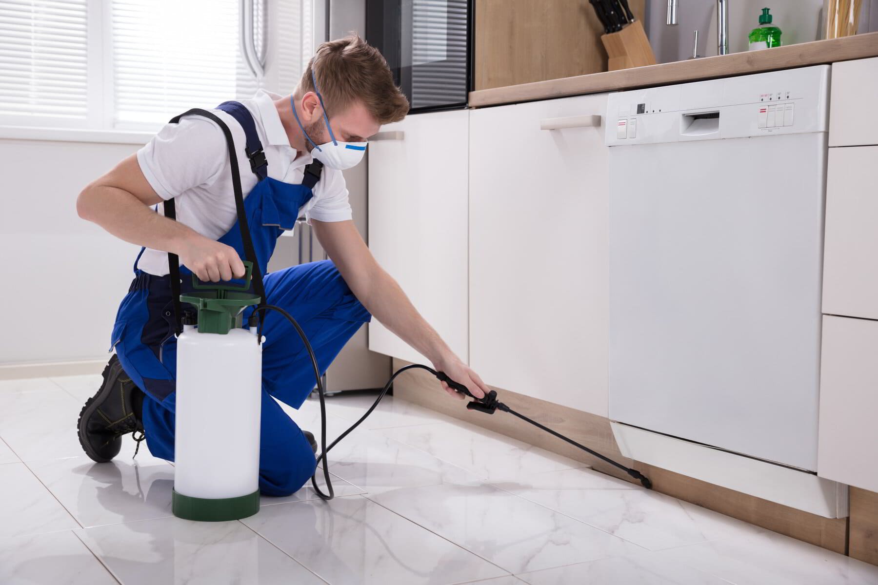Tips To Find The Best Pest Control Company